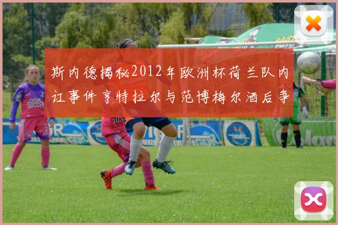 斯内德揭秘2012年欧洲杯荷兰队内讧事件亨特拉尔与范博梅尔酒后争执内幕